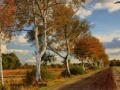 Игра Russian Road