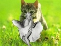 Игра Kitty saevs the day!