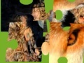Игра Jigsaws:Wild Animals 2