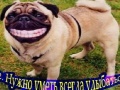 Игра What you need to be!