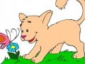 Игра Color Cat