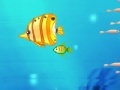Игра Big Fish eat small