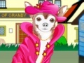 Игра Little Chihuahua