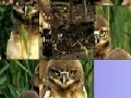 Игра Owls slide puzzle