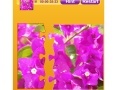 Игра Bougainvillea Jigsaw