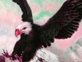 Игра Wild acrobat eagle puzzle