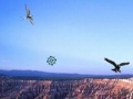 Игра Bird Kill