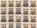 Игра Zoo Collapse