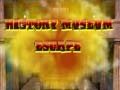 Игра History Museum Escape
