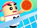 Игра Amazing Volleyball