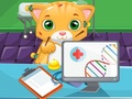 Игра Cat Doctor