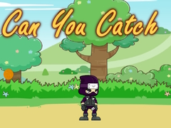 Игра Can You Catch