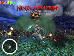 Игра Ninja Assassin 