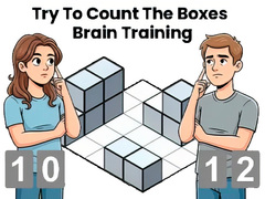 Игра Try To Count The Boxes Brain Training