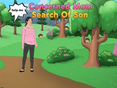 Игра Concerned Mom Search Of Son
