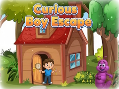 Игра Curious Boy Escape