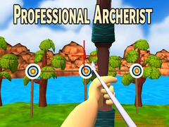 Игра Professional Archerist