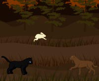 Игры Коты Воители онлайн - Game-Game