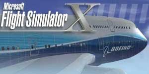 Microsoft Flight Simulator